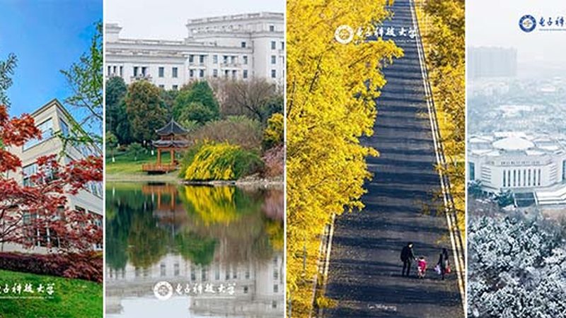 欧洲市场电子产品批发价格解析：关键因素与策略**