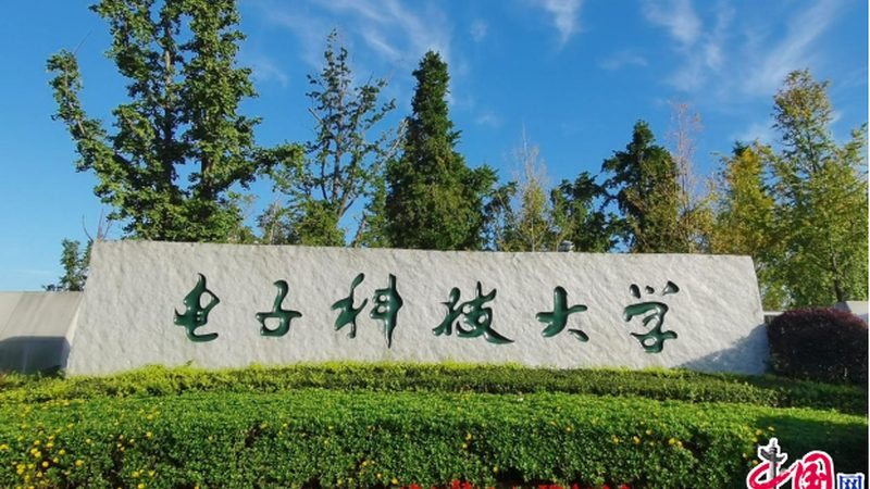 电子元件选型，报价几何？揭秘选型背后的逻辑与考量**